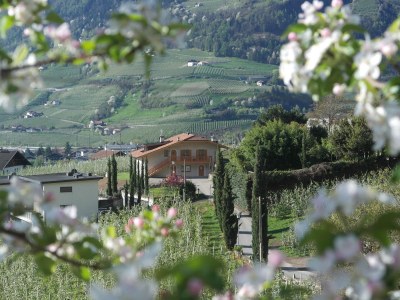 Holiday apartment Voglsang - Outdoor photo 2