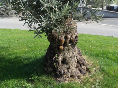 Holiday apartment Voglsang - Outdoor photo 7