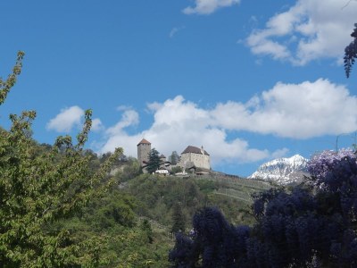 Holiday apartment Voglsang - Environment photo 17