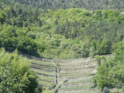 Holiday apartment Voglsang - Environment photo 20