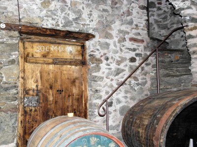 Holiday apartment Voglsang - Environment photo 21