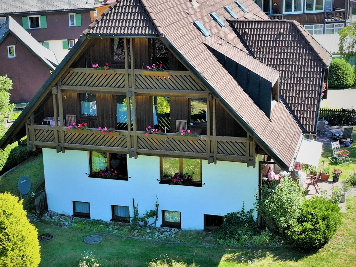 Holiday apartment In the parc - Outdoor photo 3