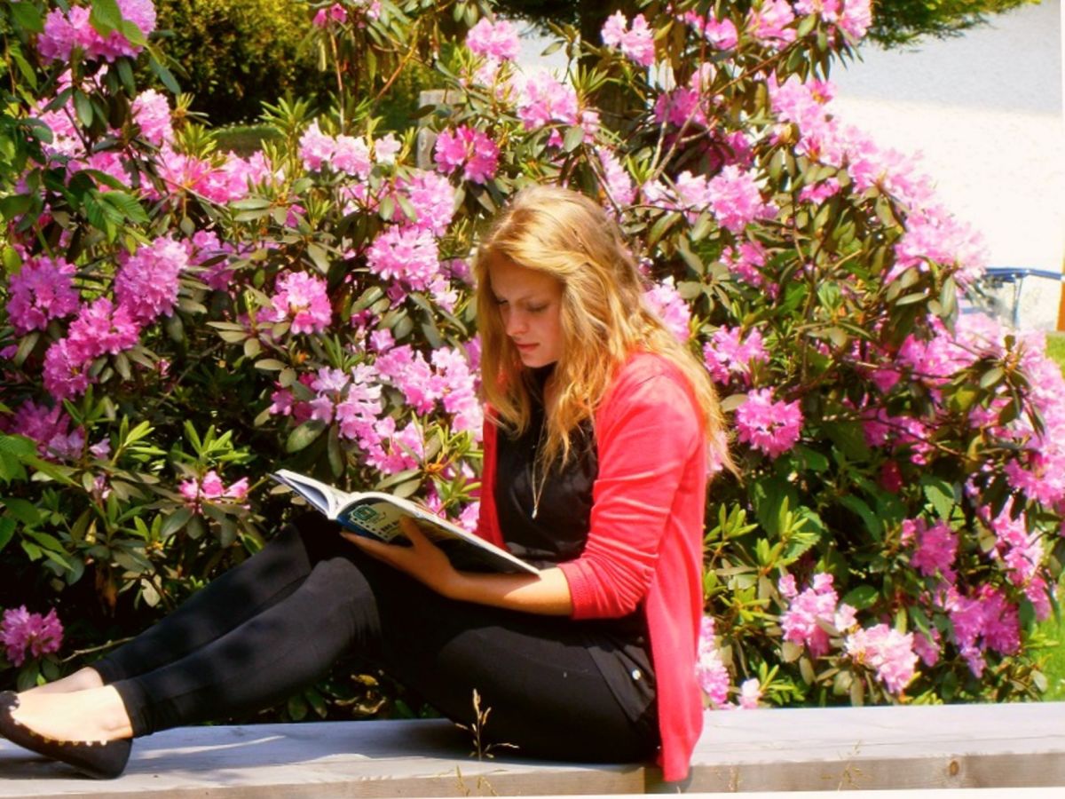 Holiday apartment In the parc - Outdoor photo 5