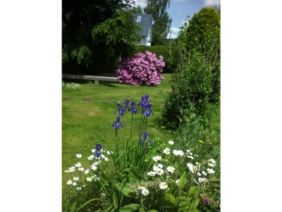 Holiday apartment In the parc - Outdoor photo 6