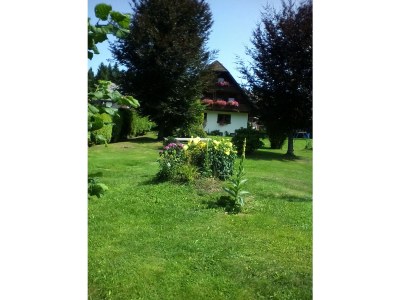 Holiday apartment In the parc - Outdoor photo 7