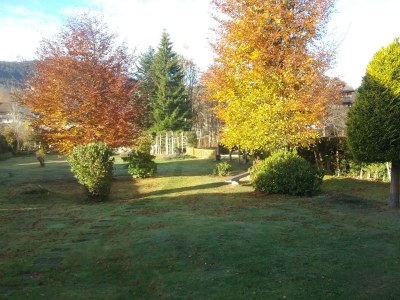 Holiday apartment In the parc - Outdoor photo 8