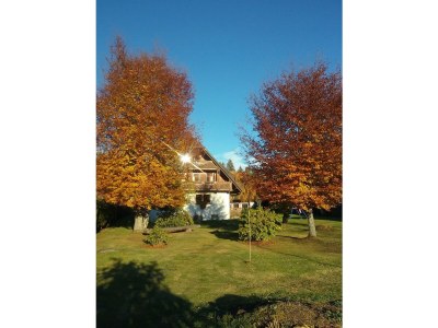 Holiday apartment In the parc - Outdoor photo 9