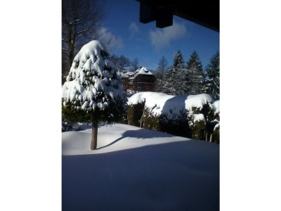 Holiday apartment In the parc - Outdoor photo 10