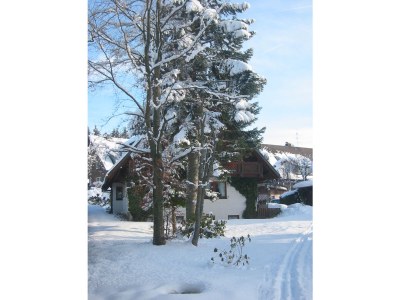 Holiday apartment In the parc - Outdoor photo 13