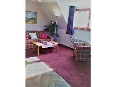 Holiday apartment In the parc - Features photo 14