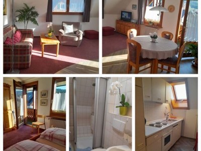 Holiday apartment In the parc - Features photo 21