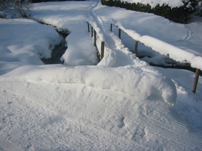 Holiday apartment In the parc - Environment photo 22