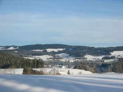 Holiday apartment In the parc - Environment photo 23