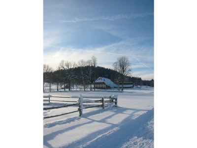 Holiday apartment In the parc - Environment photo 24