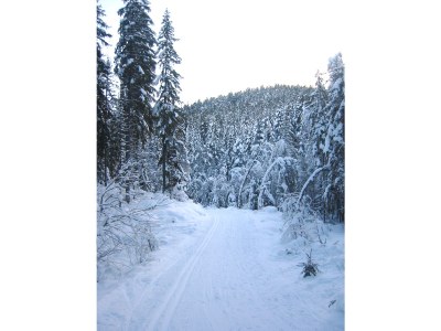 Holiday apartment In the parc - Environment photo 25