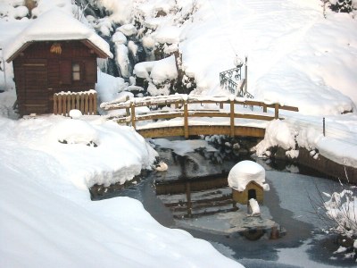 Holiday apartment In the parc - Environment photo 26