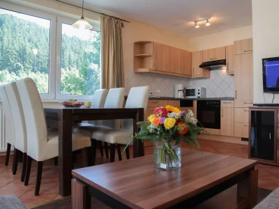 Holiday apartment H&P Vacation-Residence Mühlenberg in Willingen - Holiday apartment