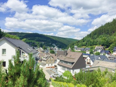 Holiday apartment H&P Vacation-Residence Mühlenberg - Environment photo 16