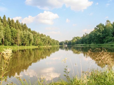 Holiday village H&P Nature Adventure Village Stamsried - Environment photo 17