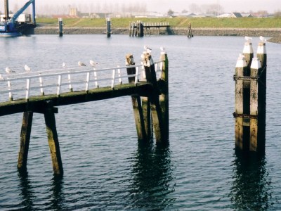 Holiday house Hertengang 62 - Environment photo 12