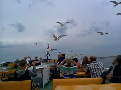 Holiday house Hertengang 62 - Environment photo 19