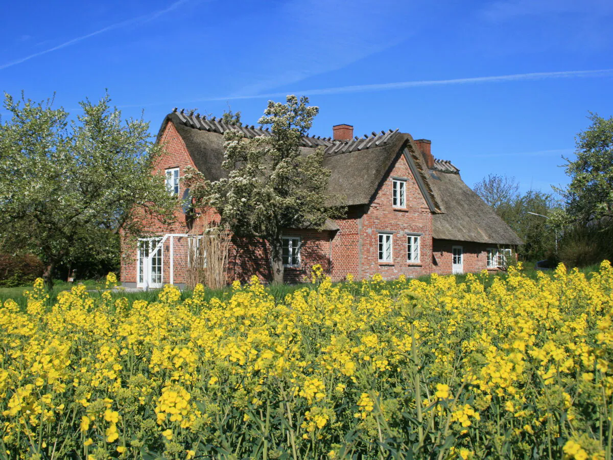 Holiday house Old Schusterhus