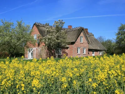 Holiday house Old Schusterhus in Stenderup bei Gelting - Holiday house
