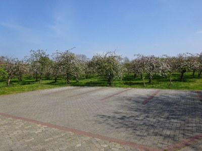 Holiday apartment Obsthof View 2 - Outdoor photo 6