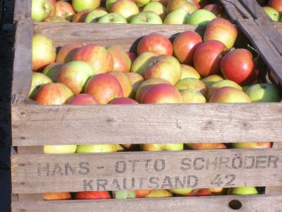 Holiday apartment Obsthof View 2 - Environment photo 26