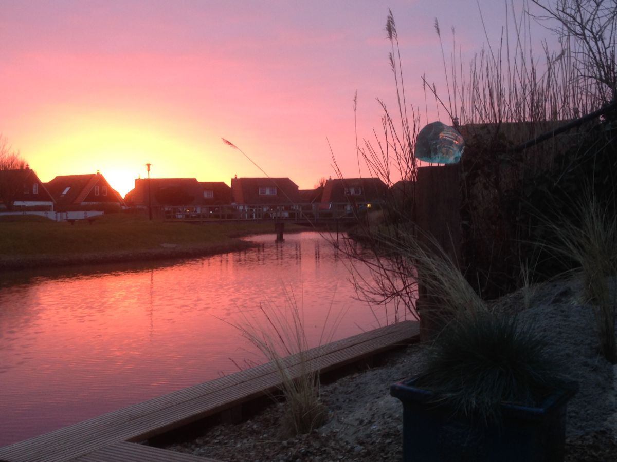 Holiday house Buitenplaats 79 - Outdoor photo 4