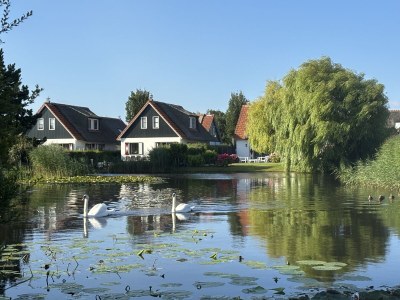 Holiday house Buitenplaats 79 - Outdoor photo 9