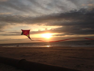 Holiday house Buitenplaats 79 - Environment photo 35