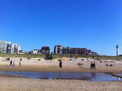 Holiday apartment The Robbebos - Environment photo 12