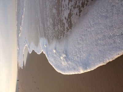 Holiday apartment The Robbebos - Environment photo 13