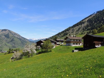 Holiday apartment Maridl - Outdoor photo 2