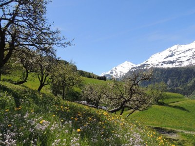 Holiday apartment Maridl - Outdoor photo 7