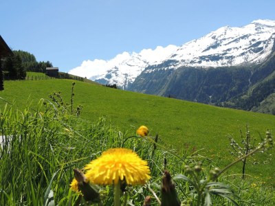 Holiday apartment Maridl - Outdoor photo 8