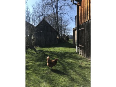 Holiday house Hohenraunau - Outdoor photo 10