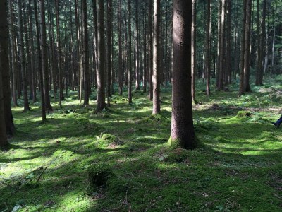 Holiday house Hohenraunau - Environment photo 28