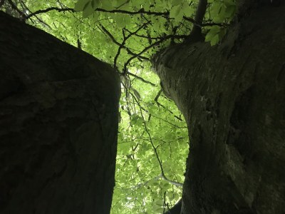 Holiday house Hohenraunau - Environment photo 35