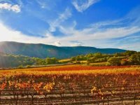 Gwenola und Bert Porwoll