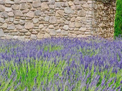 Holiday house La Suite Maison Bertuli - Outdoor photo 34