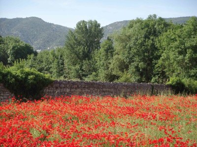 Holiday house La Suite Maison Bertuli - Environment photo 39