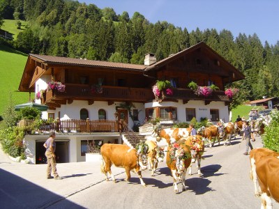 Holiday apartment Dollinger - Outdoor photo 2