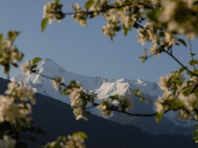 Holiday apartment Dollinger - Environment photo 15