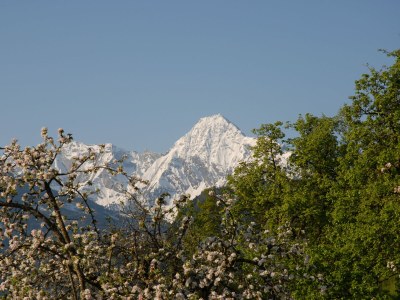 Holiday apartment Dollinger - Environment photo 16