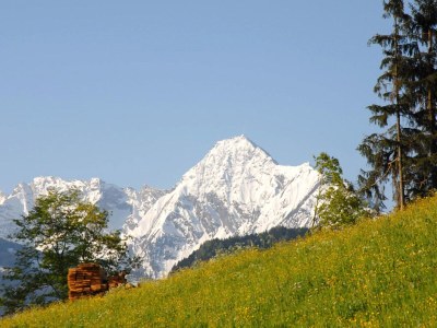Holiday apartment Dollinger - Environment photo 19