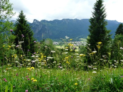 Holiday apartment Annemarie Huber - Environment photo 15