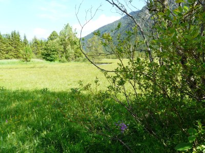 Holiday apartment Annemarie Huber - Environment photo 16