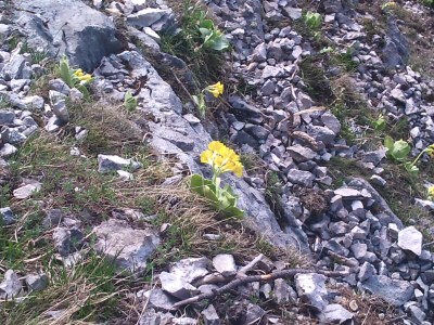 Holiday apartment Annemarie Huber - Environment photo 19